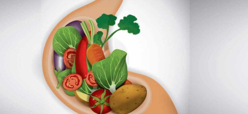 Как улучшить пищеварение в желудке народными средствами