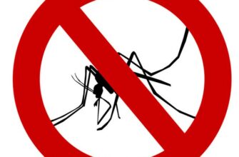 Как дома избавиться от комаров