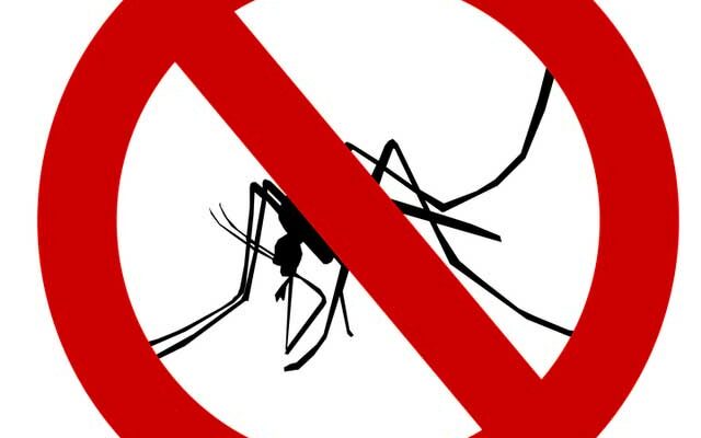 Как дома избавиться от комаров