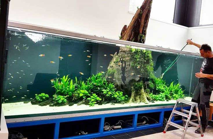 Как обслуживать аквариум 