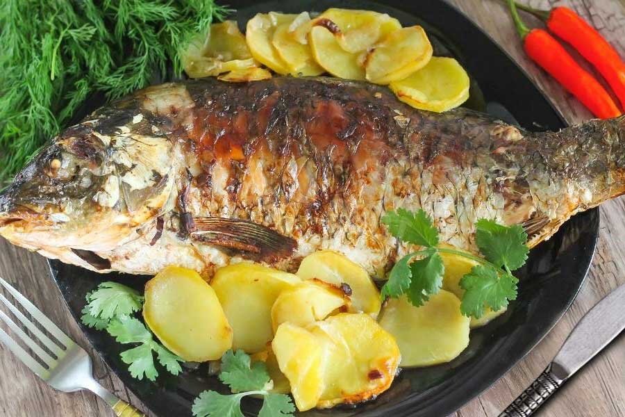 Рыба морская и речная, какую выбрать для кухни