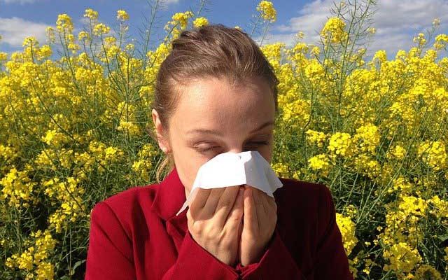 Аллергия на запахи причины и как избежать