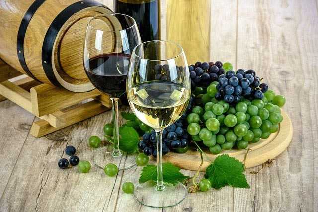 Виноград выращивание и уход