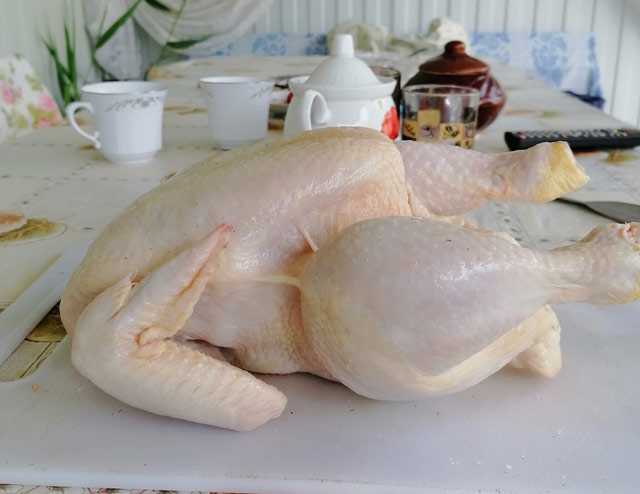 Рецепты блюд из мяса курицы