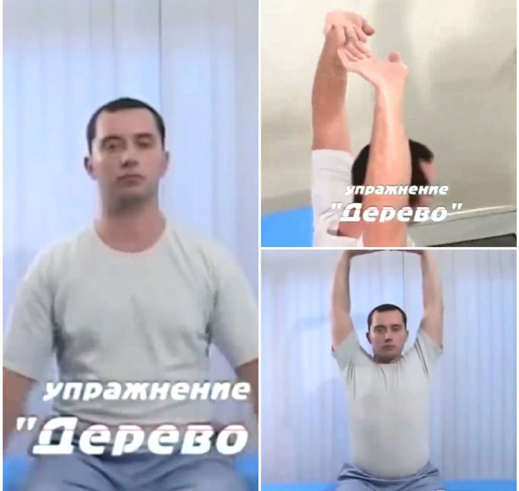 Экспресс-гимнастика для шеи доктора Шишонина