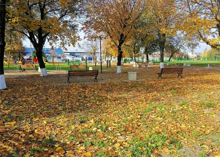 Парк станицы Архангельской
