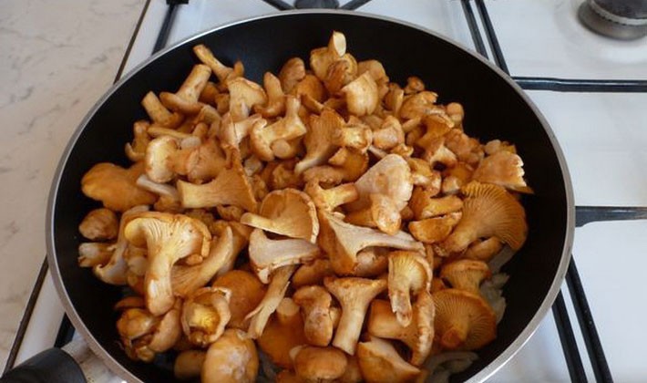 Рецепт соления сырых грибов